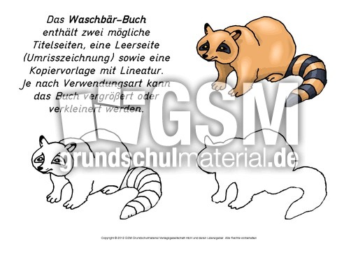 Mini-Buch-Waschbär.pdf